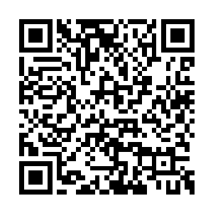 苏凡可以说是见过唯一能够跟他打成平手的家伙二维码生成