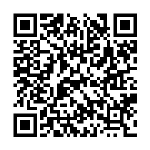 苏凡就是想让十二圣骑给修罗等人当磨刀石来训练二维码生成