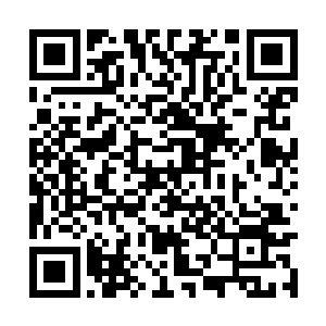 苏凡怎么都没想到这人的实力竟然有着这么的强悍二维码生成