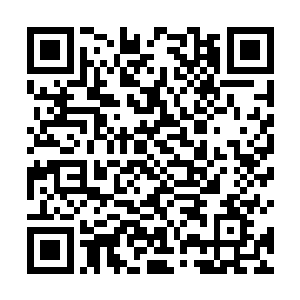 苏凡是他能够找到的可以对付他老师杰克的唯一人选了二维码生成