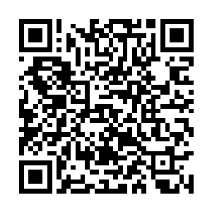 苏凡真的认为自己带领的龙耀会会输在云家的手中二维码生成