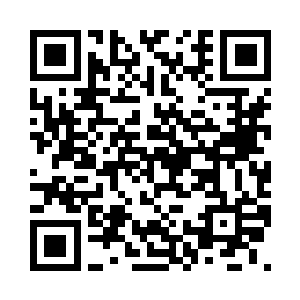 苏叶从开始到现在一直都是破壳表演二维码生成