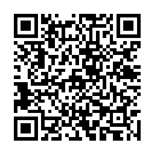 苏墨尘下班一进门看到干净的地面便猜到是她来了二维码生成