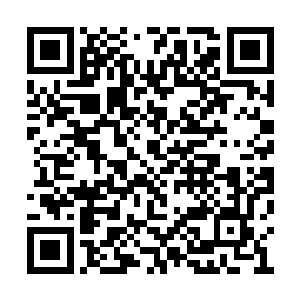 苏墨尘再一次向她证明了他的脸皮厚到什么程度二维码生成