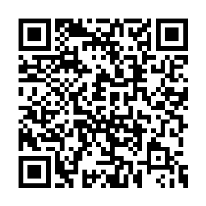 苏墨尘却已经想好怎么教唆她编谎话骗过阮子玥二维码生成