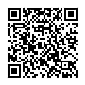 苏夫人那边又死拖活赖地不愿意给苏青言拿对牌请大夫二维码生成