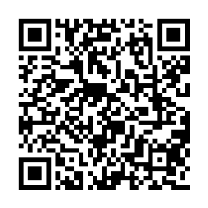 苏妲己感应到左侧飞出一位日月星辰环绕的帝者二维码生成