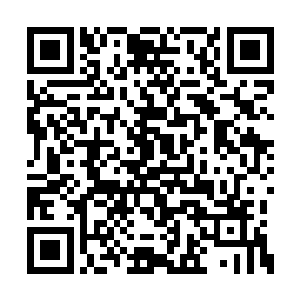 苏婉当然是想要好好招待一下福王和福王世子的二维码生成