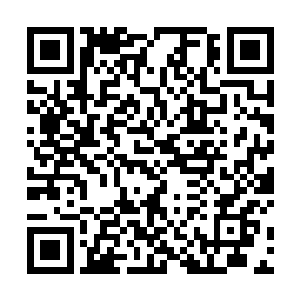 苏孟成为外景一流高手中的出类拔萃者也是可以期待的二维码生成