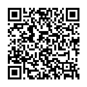 苏小爱一个人自然是拦不住梁萌萌和西欢儿两个二维码生成