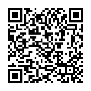 苏彧这才慢慢地将自己的手指从他的手心里抽了出来二维码生成