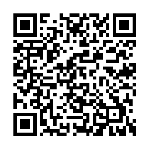 苏林一股脑将所有的丹药全都倒入一个托盘当中二维码生成