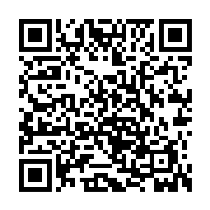 苏林直接把周游二人背上已经无用的翅膀撕扯掉二维码生成