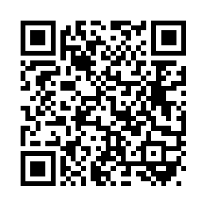 苏林若有所思的看着飞回来的禅杖二维码生成