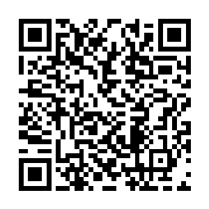 苏檀儿其实也未曾见过他参与这等正式文会的情况二维码生成