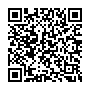 苏民已经准备好对方绵软的身体撞在自己身上了二维码生成