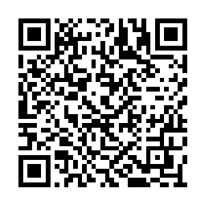苏沐阳也想到之前他们来时的路上碰到截杀事件二维码生成