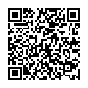 苏洵穿着铠甲艰难的蹲下来瞅着地上大量的残肢断臂道二维码生成