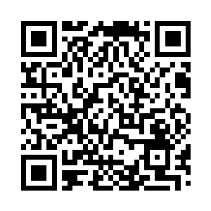 苏洵面不改色的应答之后就去了后营写奏折二维码生成