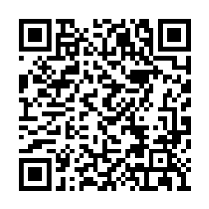 苏海市特别行动处的处长恶狠狠的看着夏天说道二维码生成