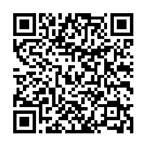 苏海市特别行动处的处长指了指七组的那些人说道二维码生成