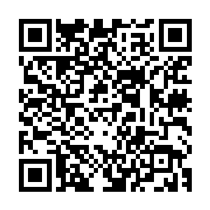 苏海市特别行动处的处长派出了他们处里战斗力最强的一个组长二维码生成