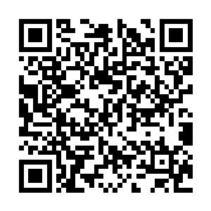 苏清一次又一次的用她自己的精神力去碾压蜥蜴龙二维码生成