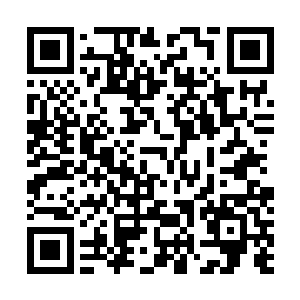 苏澈和安齐远原本对这类人头攒动的宴席并没有什么兴趣二维码生成