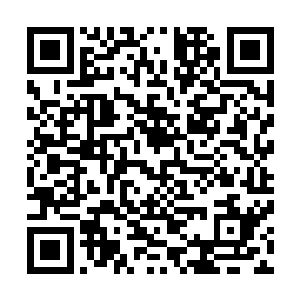苏澈还以为安齐远会一如既往地不顾他的意愿与他同乘一骑二维码生成