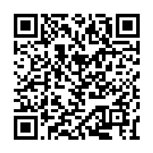 苏燕青也不知道自己的情绪就怎么突然爆发出来二维码生成