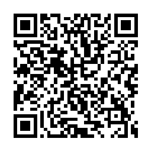 苏眠抬头看了眼在最偏僻阴暗角落里的他和小篆二维码生成