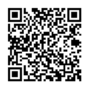 苏菲亚还有弗拉基米尔后来叫来的两位俄罗斯美二维码生成