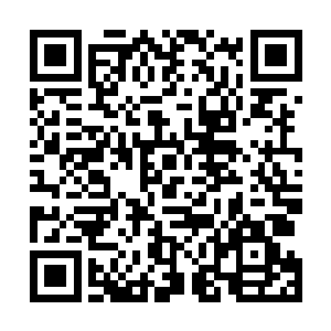 苏落一脚将其中的一只越影紫电喷云兽踹向她设下的陷阱二维码生成