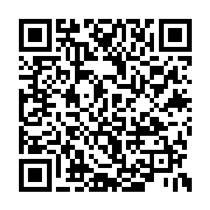 苏落一边用大光明术召唤出一个又一个小光明球二维码生成