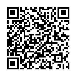 苏落不得不接受外界重压力比神龙秘境里强大这个事实二维码生成