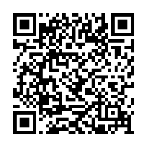 苏落不用动脑子都可以猜到伯格送的是什么东西二维码生成