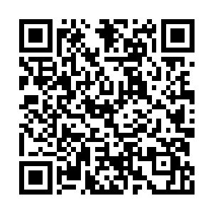 苏落也没想到踏雪无痕墨角腾云兽竟然这么可爱二维码生成