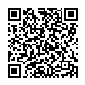 苏落依旧是一副不以物喜不以己悲的超然云淡风轻状二维码生成