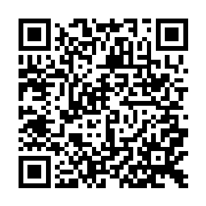 苏落发现踏雪无痕墨角腾云兽对待她的态度越来越轻慢二维码生成