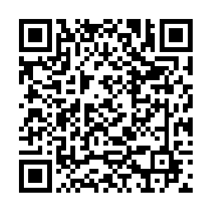 苏落只觉得一阵酥酥麻麻的感觉……她趴在床上装死二维码生成