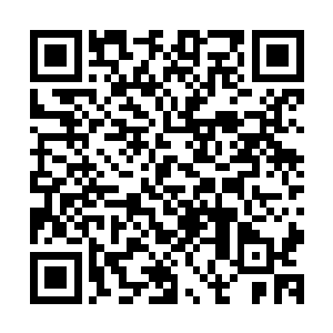 苏落和南宫流云如何能够在最快的时间内赶去找南宫申羽他们二维码生成