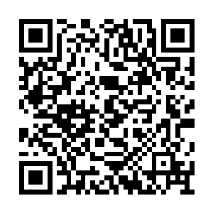 苏落和南宫流云携手踏遍碧落大陆的每一个角落二维码生成