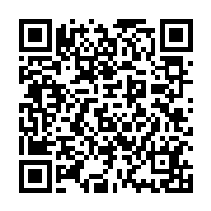 苏落并不知道她现在已经成为这些士兵心目中最敬仰的二维码生成