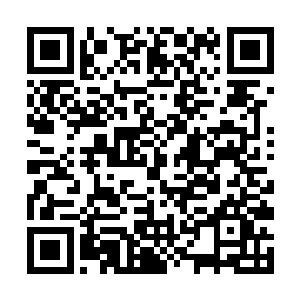 苏落开始在空间里翻找之前花费两百积分淘到的碎片二维码生成