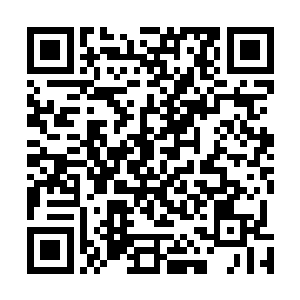 苏落想起之前南宫流云嘱咐过她哪里都不要去就留在客厅二维码生成