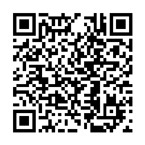 苏落指的是之前朝她撞来的那俩小偷小摸的小男孩二维码生成