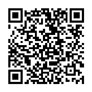 苏落的目光在那一千个毫无规律的写字板上一一扫过二维码生成