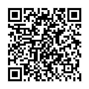 苏落能够感觉到踏雪无痕墨角腾云兽身上散发出来的不悦二维码生成