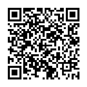 苏落被独自请去继承传承的时候整个白泽世界即将崩塌二维码生成