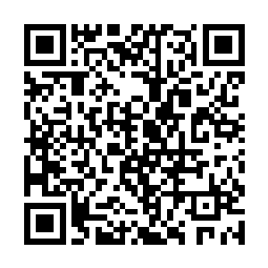 苏落还庆幸自己没有把时间浪费到身体强化上面去呢二维码生成